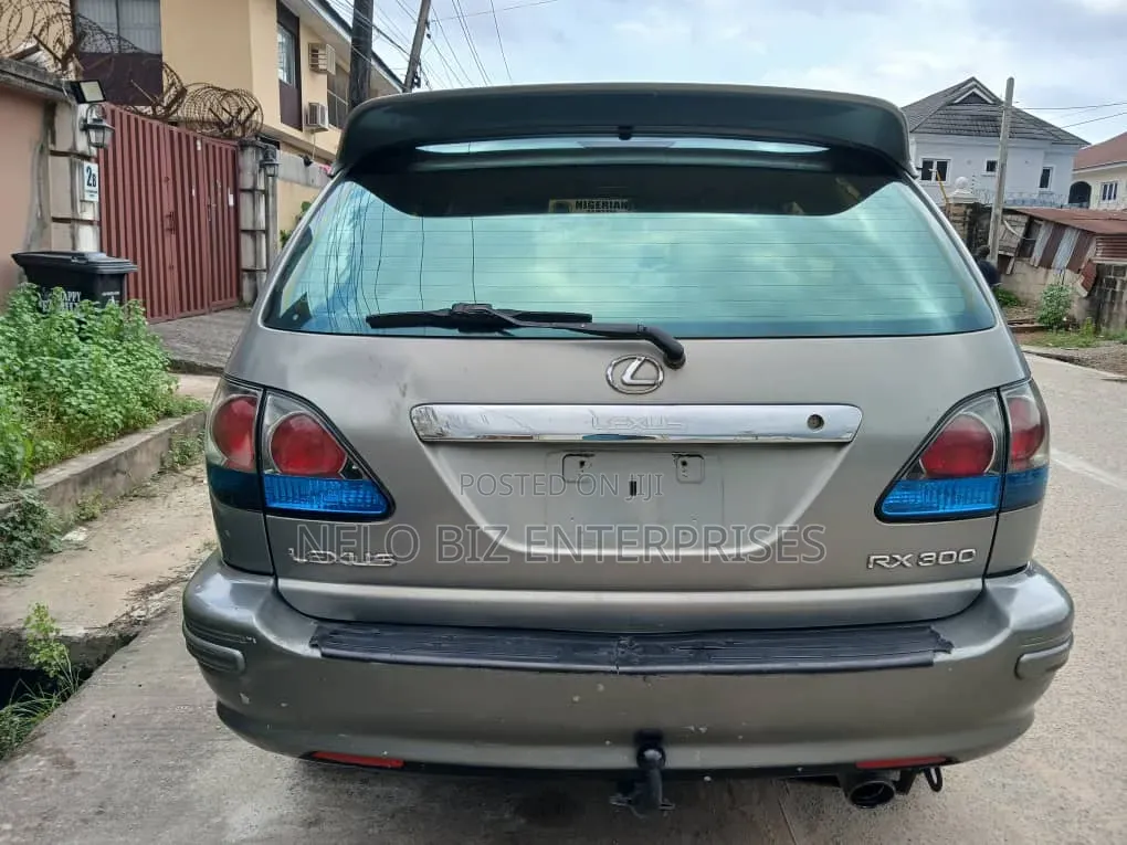 Lexus RX 2002 Gray