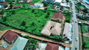 Certificate of Occupancy