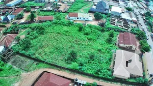 Certificate of Occupancy
