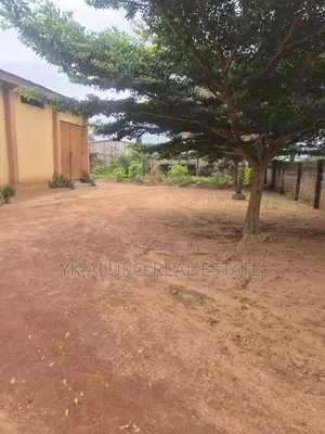 Certificate of Occupancy