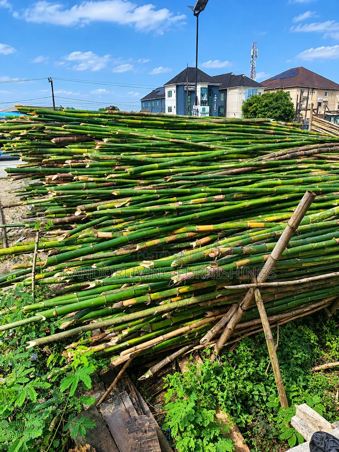 Bamboo for Building