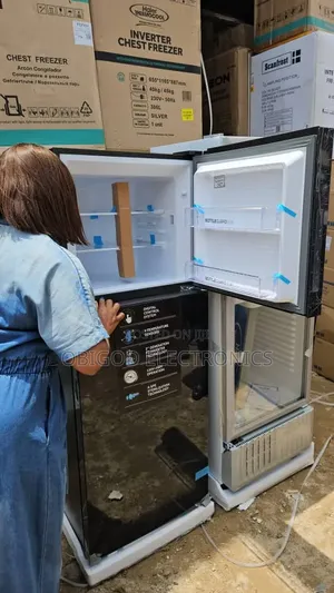 Thermocool Mirror Face Fridge