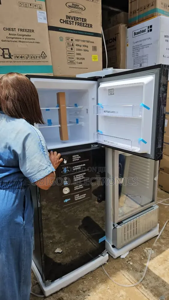 Thermocool Mirror Face Fridge