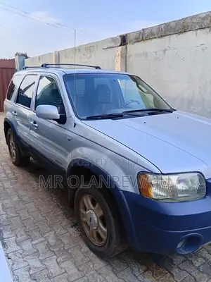 Ford Escape 2005 Silver