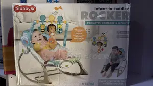 Infant to Toddler Rocker