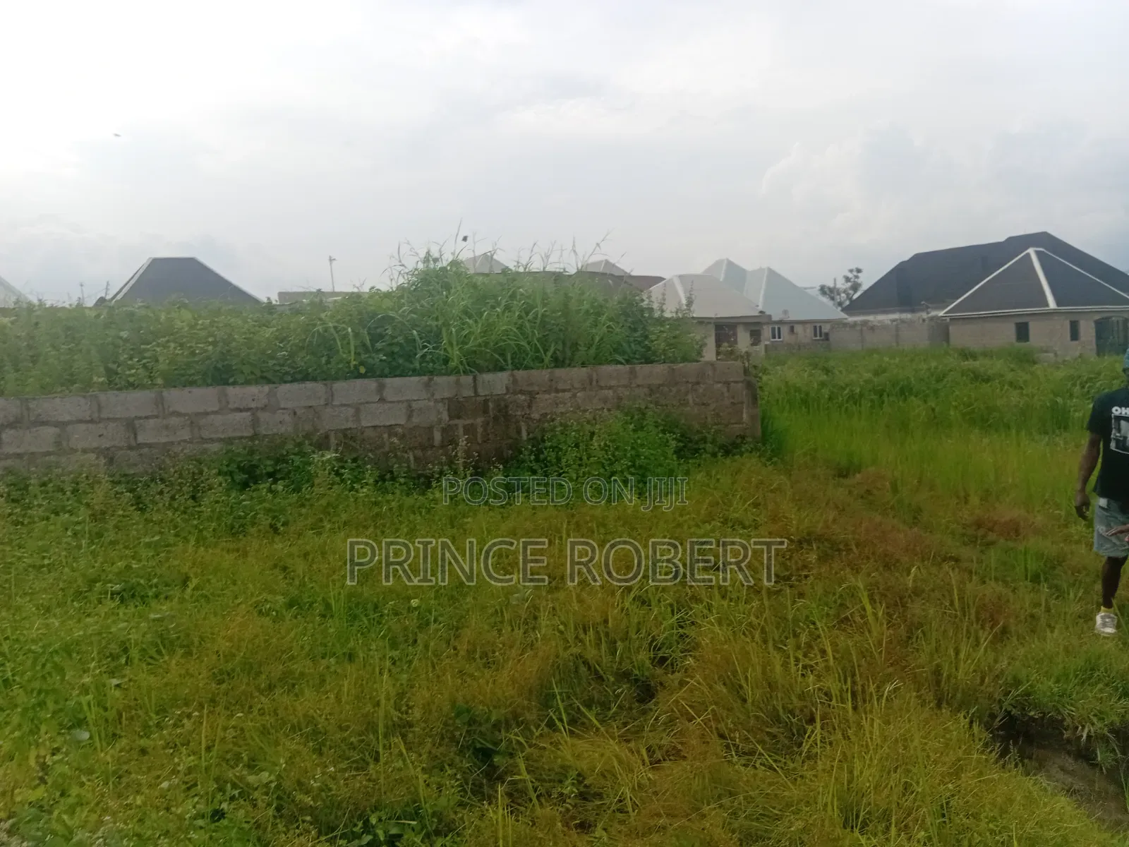 Plot and House for Sale