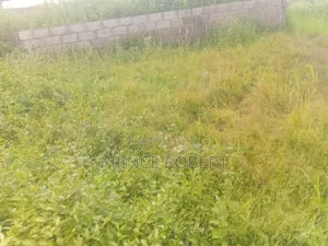 Plot and House for Sale