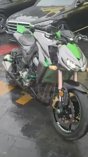Kawasaki 2020 Green