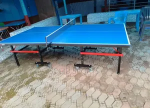 Experience the Thrill of Fast-Paced Action With Our Premium Table