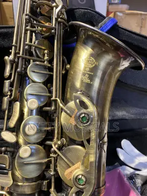 Henri Selmer Paris Alto Saxophone Bronze