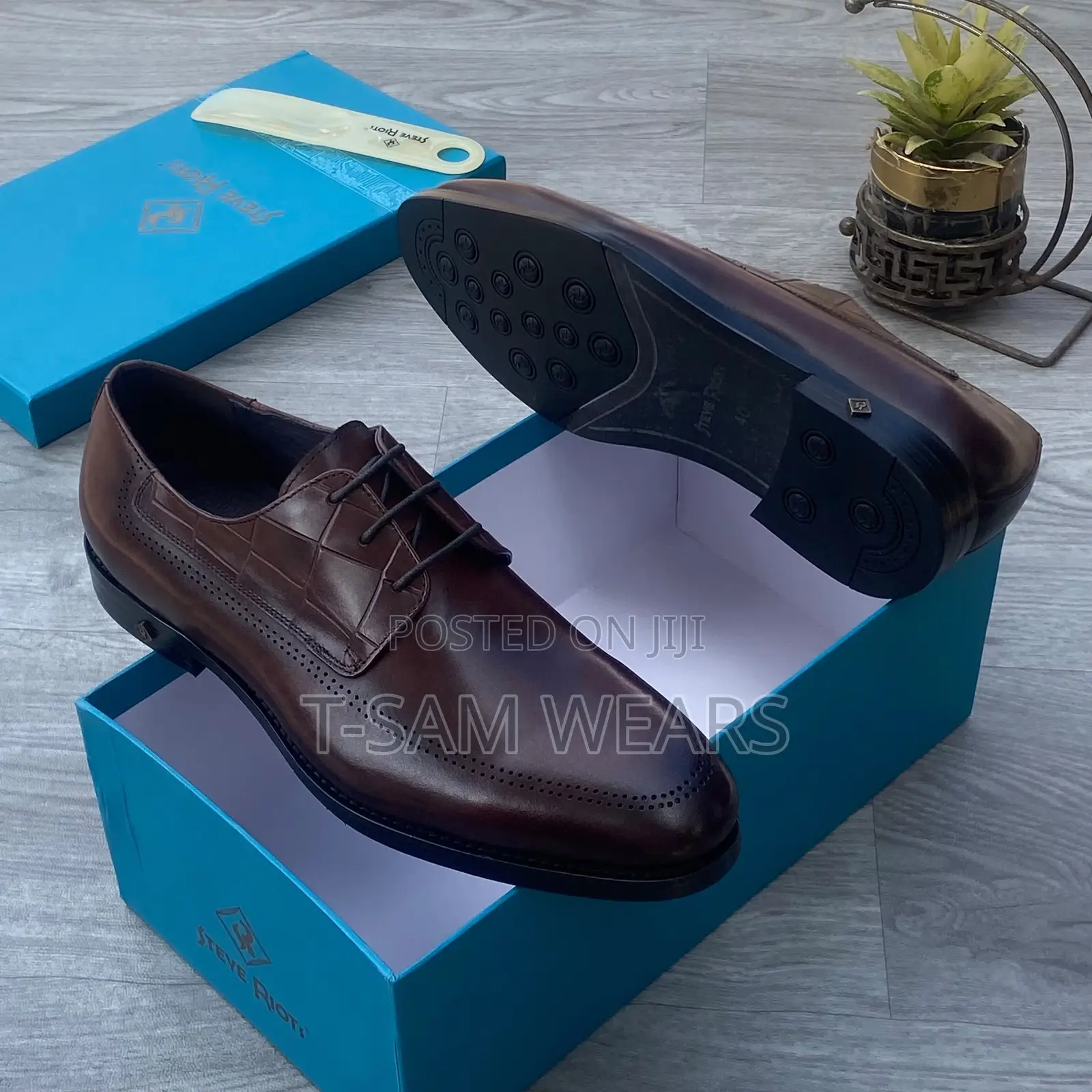 Steve Riots Designer Cooperate Shoe