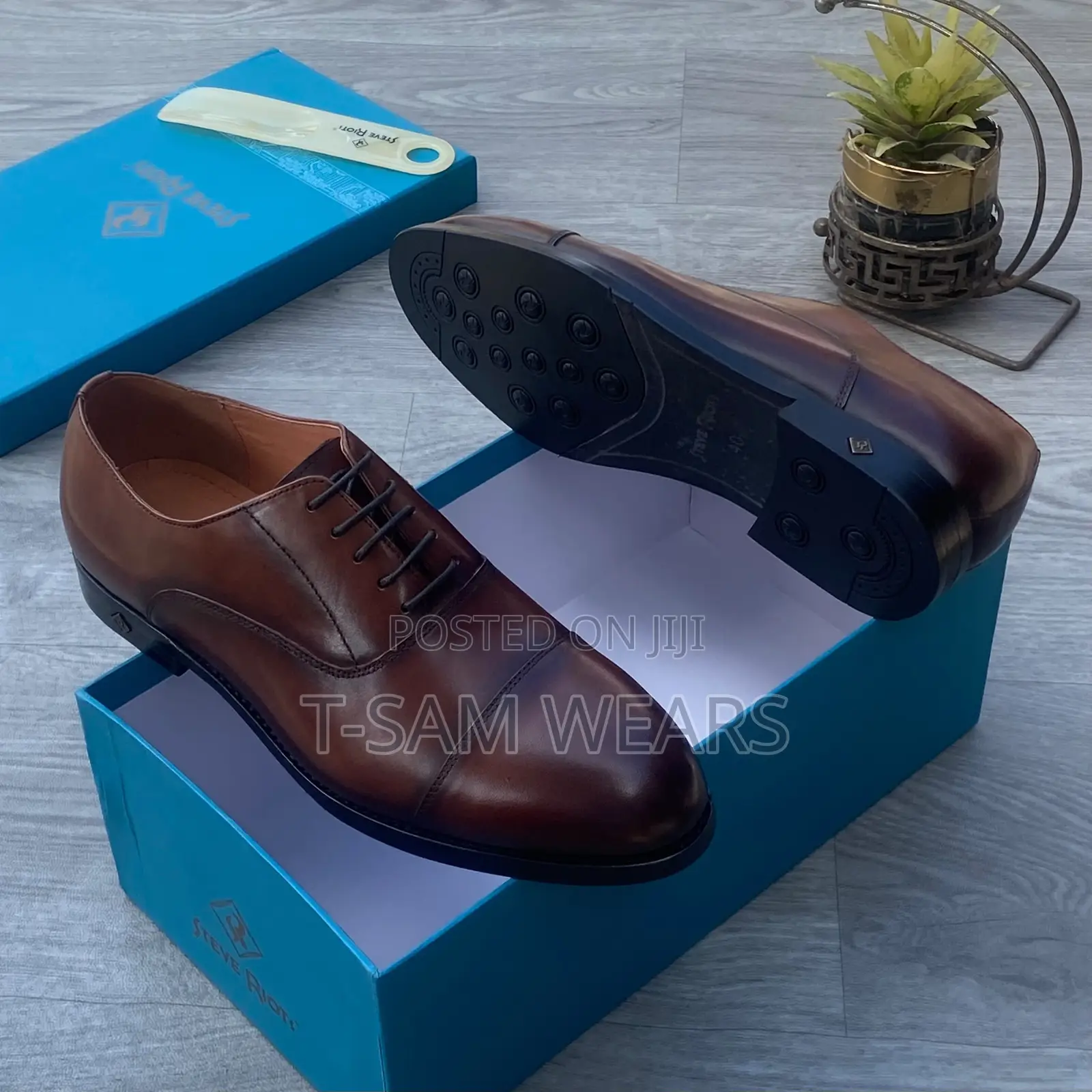 Steve Riots Designer Cooperate Shoe