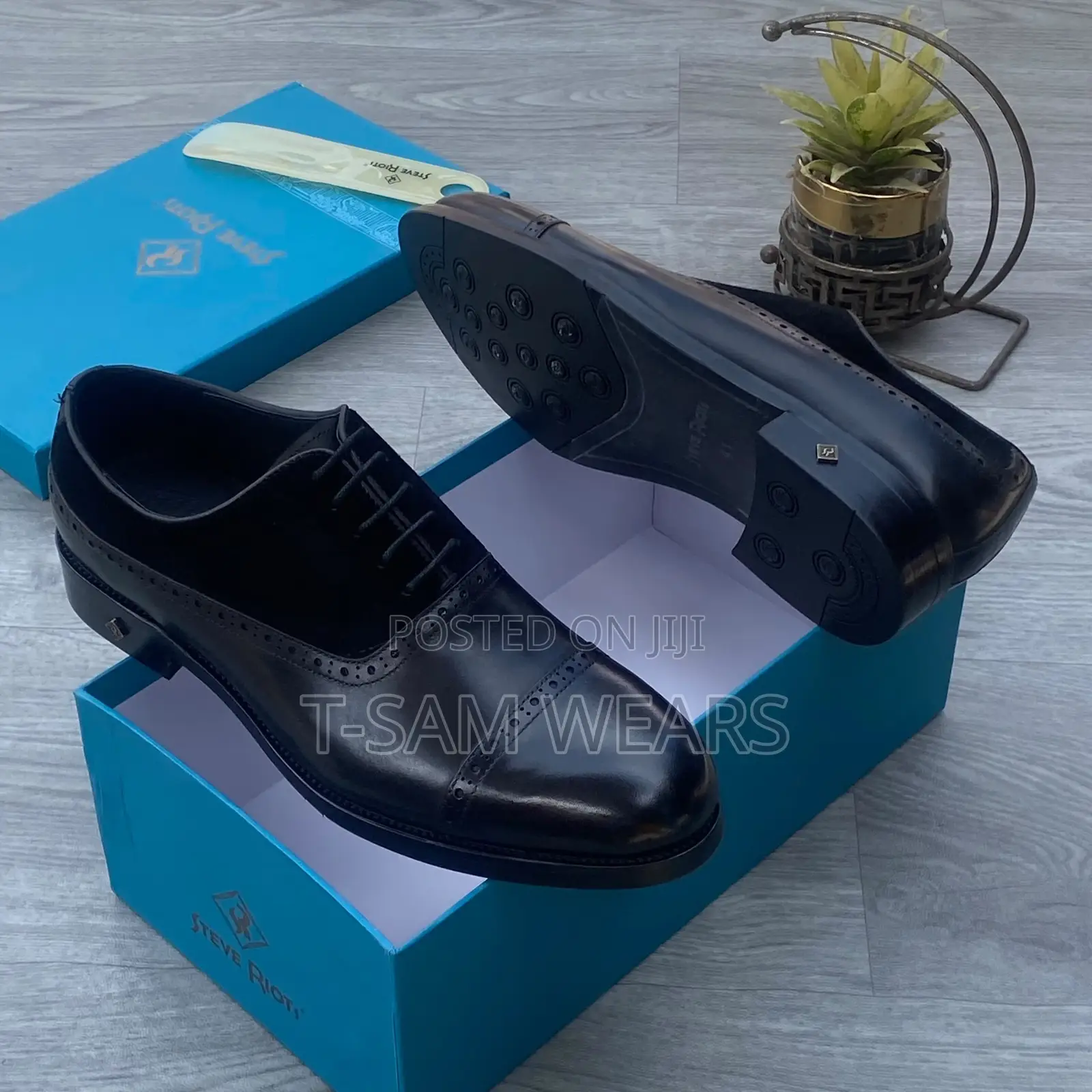 Steve Riots Designer Cooperate Shoe