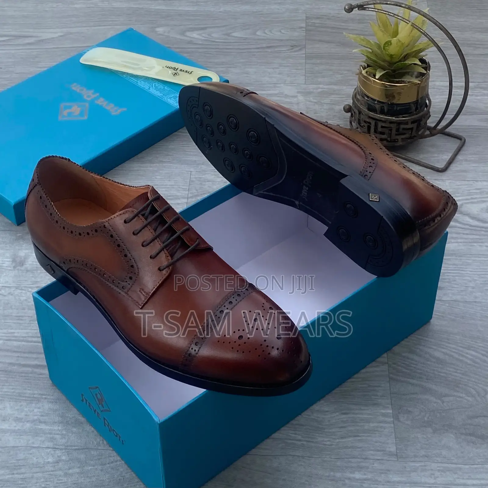 Steve Riots Designer Cooperate Shoe