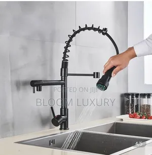 Chrome/Black Double Kitchen Faucet