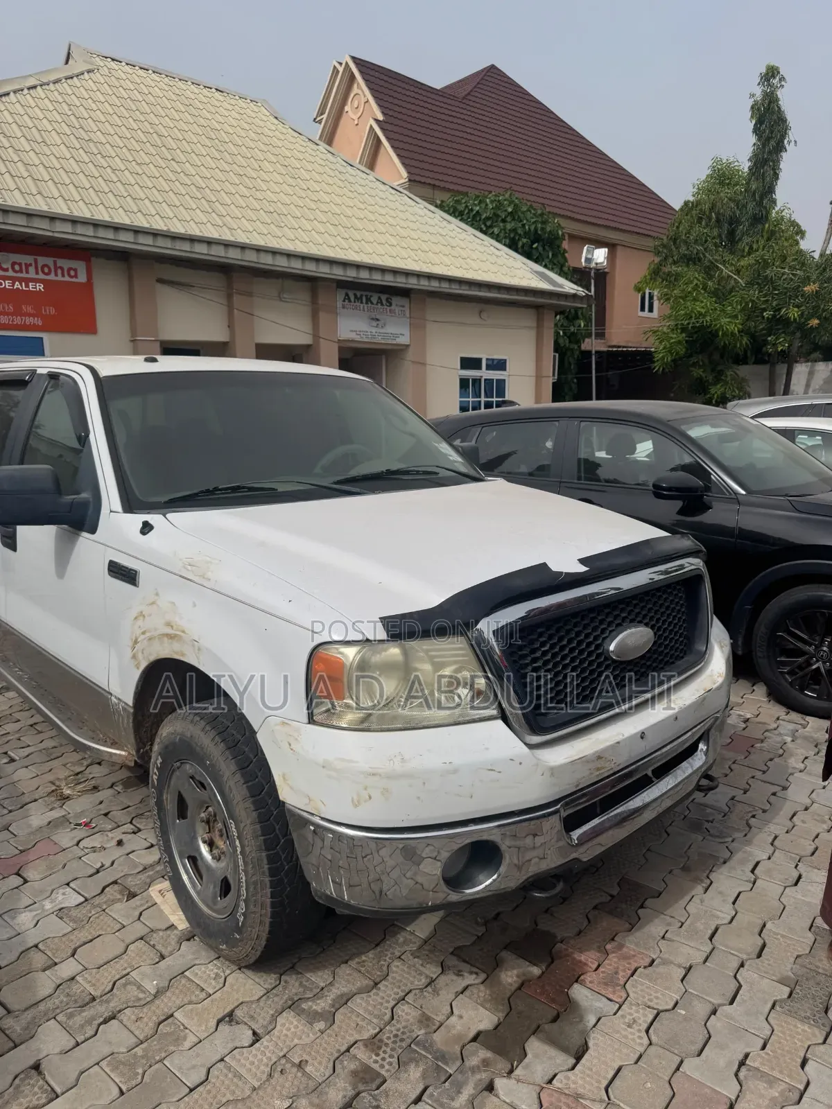 Ford F-150 2010 White