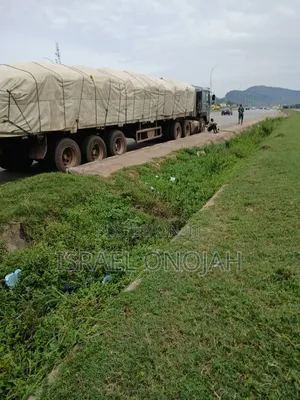 Mejor Distributor of Both Dangote and Bua Cement