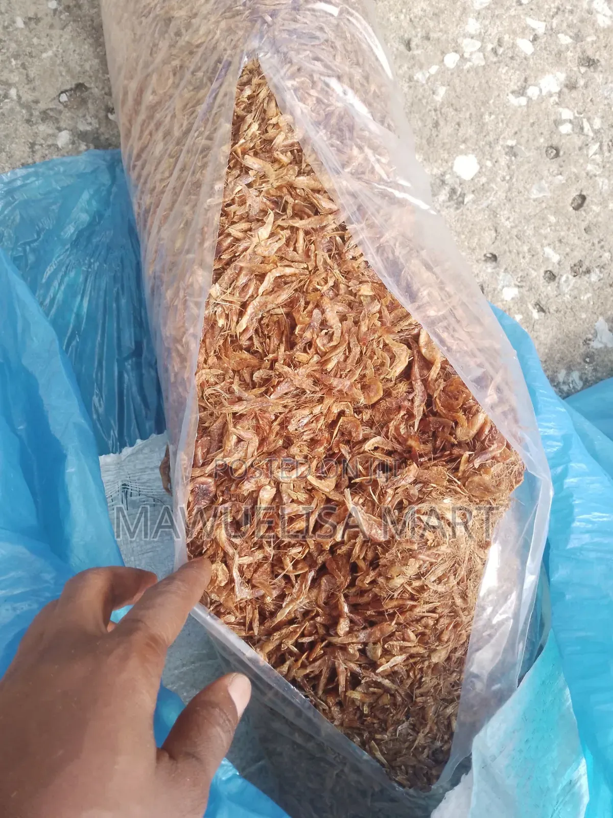Crayfish (Clean and Dust Free)