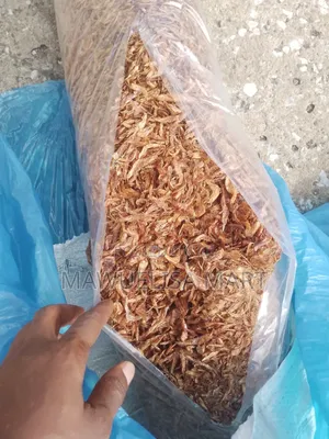 Crayfish (Clean and Dust Free)