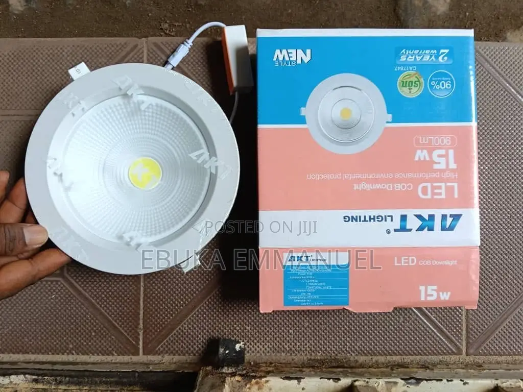Ceiling Light
