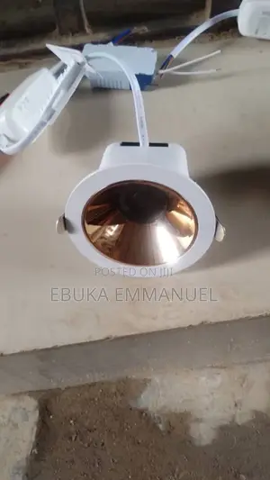 Ceiling Light