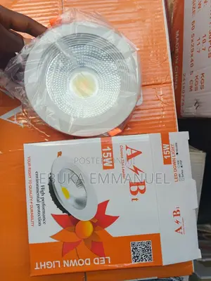 Ceiling Light