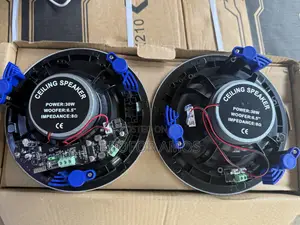 Bluetooth Celling Speaker 2in1