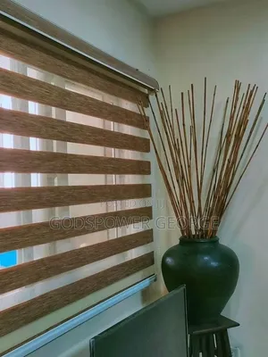 Day and Night Window Blinds