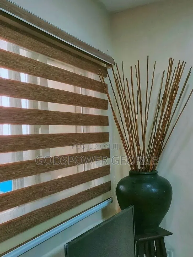 Day and Night Window Blinds