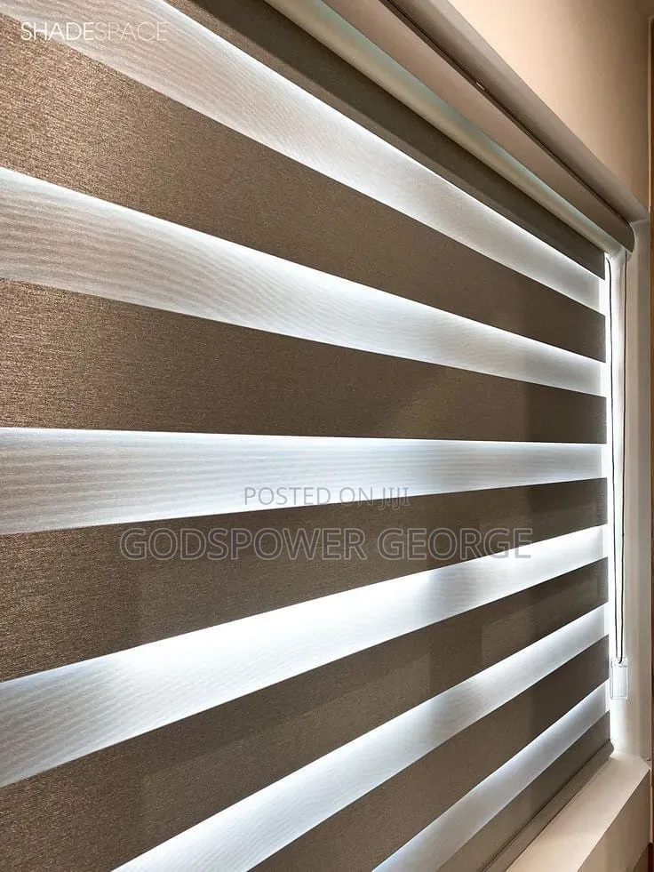 Day and Night Window Blinds