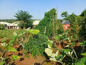 Buy and Build Land at Adamo Ikorodu