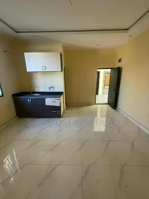 Furnished 1bdrm Apartment in Sangotedo for rent