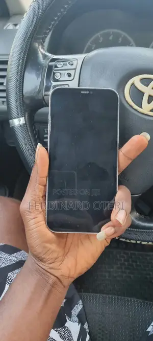 Apple iPhone 12 Pro Max 256 GB White