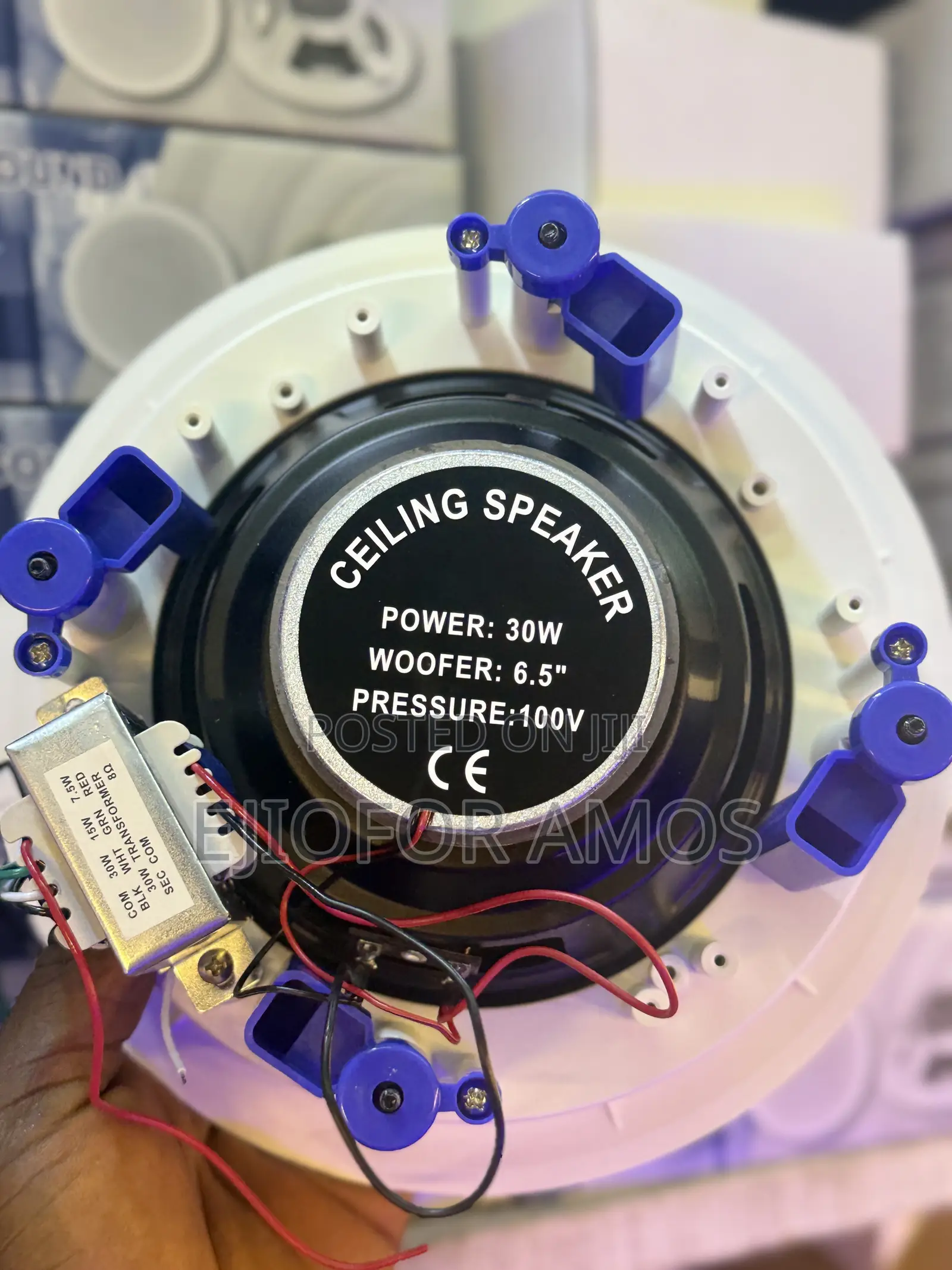 30w Celling Speaker