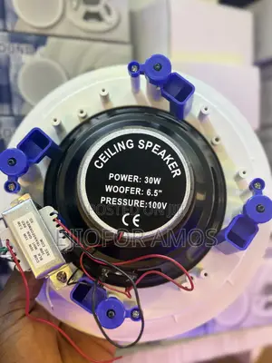 30w Celling Speaker