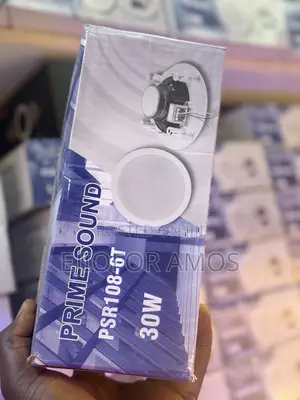 30w Celling Speaker