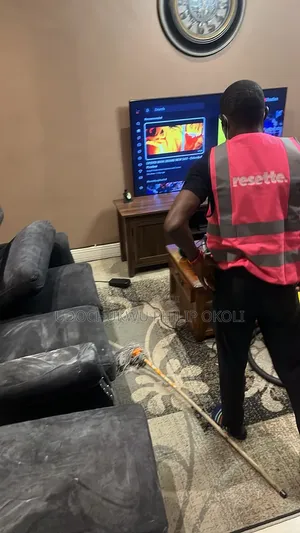 Professional Sofa Cleaning Services