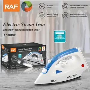 Electric Steam Iron