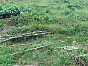 825 SQM Waterfront Land