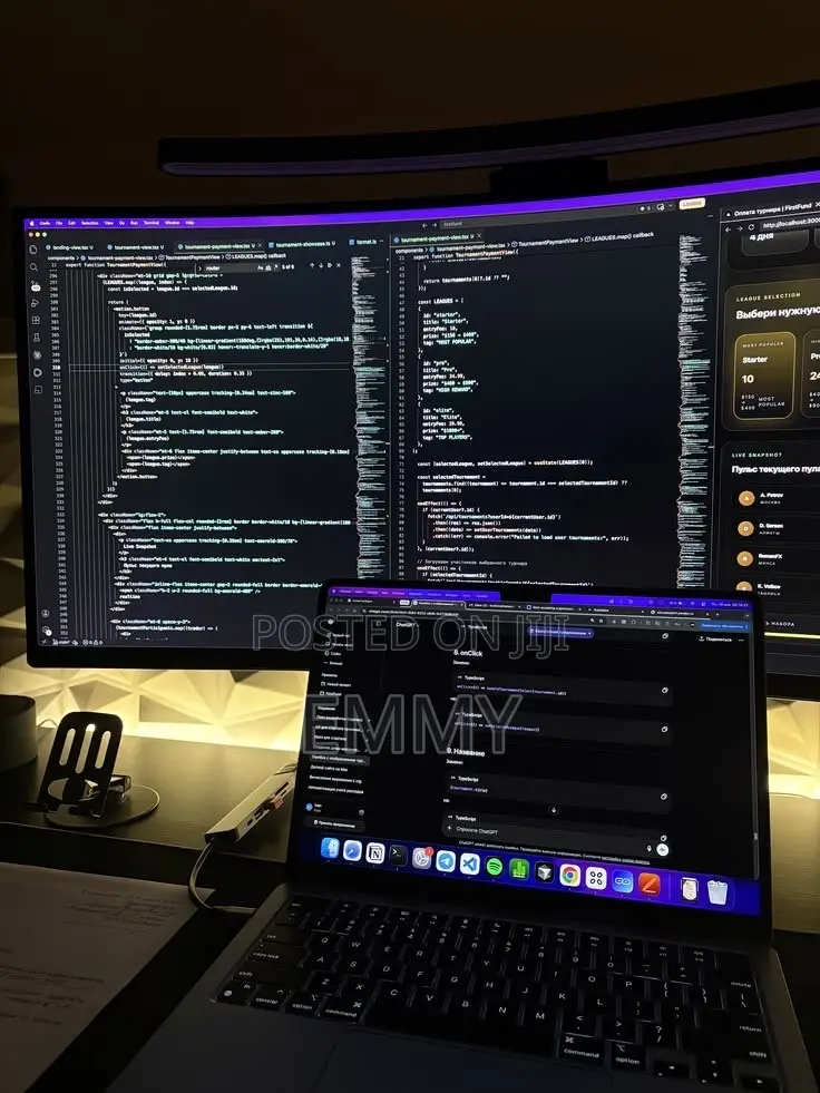 IT Expert/Web Designer