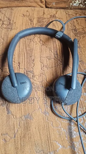 Dell Pro Wired Office Headset WH3024 HS2401 W/ Mic USB Type C