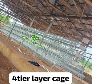 Imported 4 Tiers Deluxe Cage