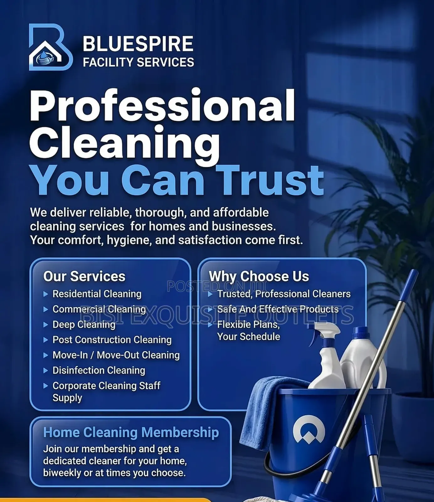 Professional Cleaning Services