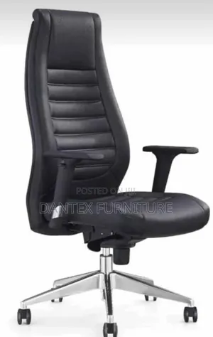 Executive Office Chair With Adjustable Hand