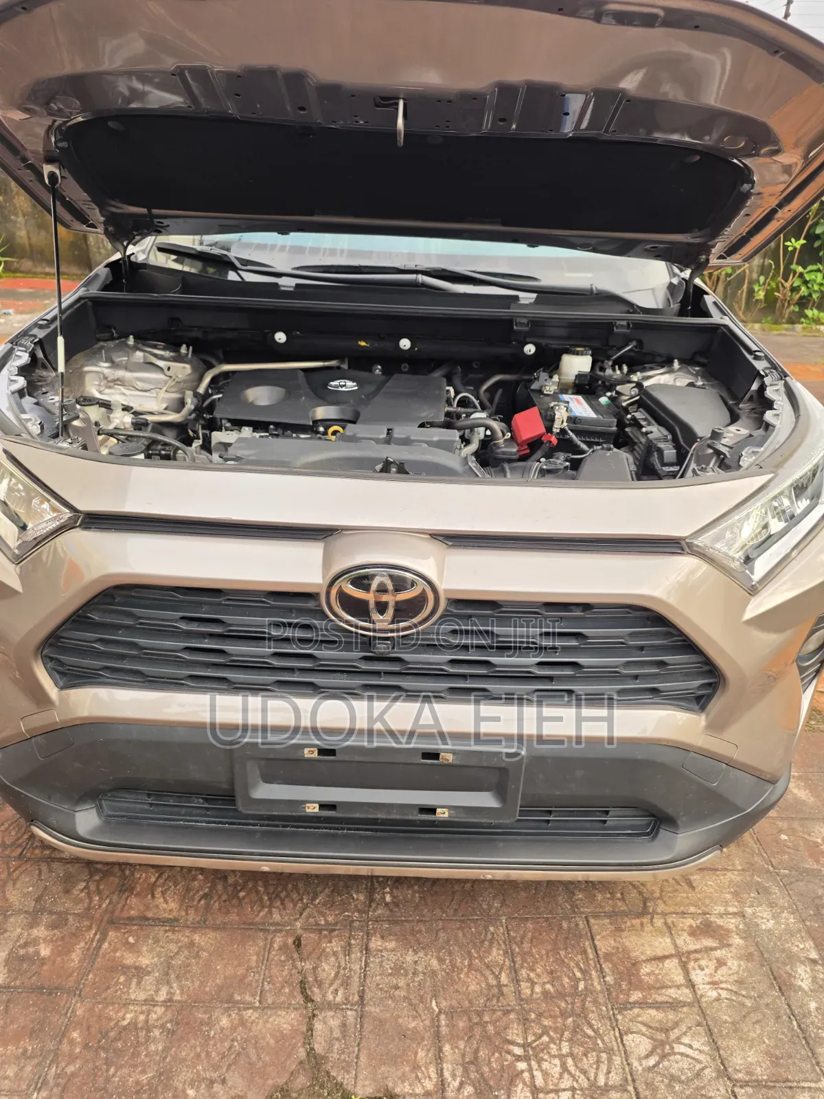 Toyota RAV4 XLE 2021 Gray