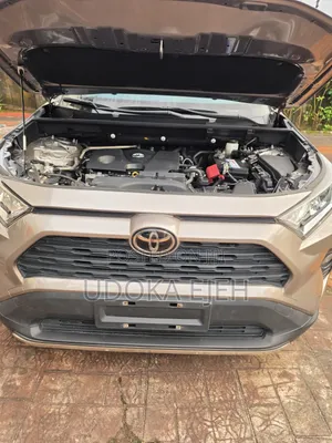 Toyota RAV4 XLE 2021 Gray