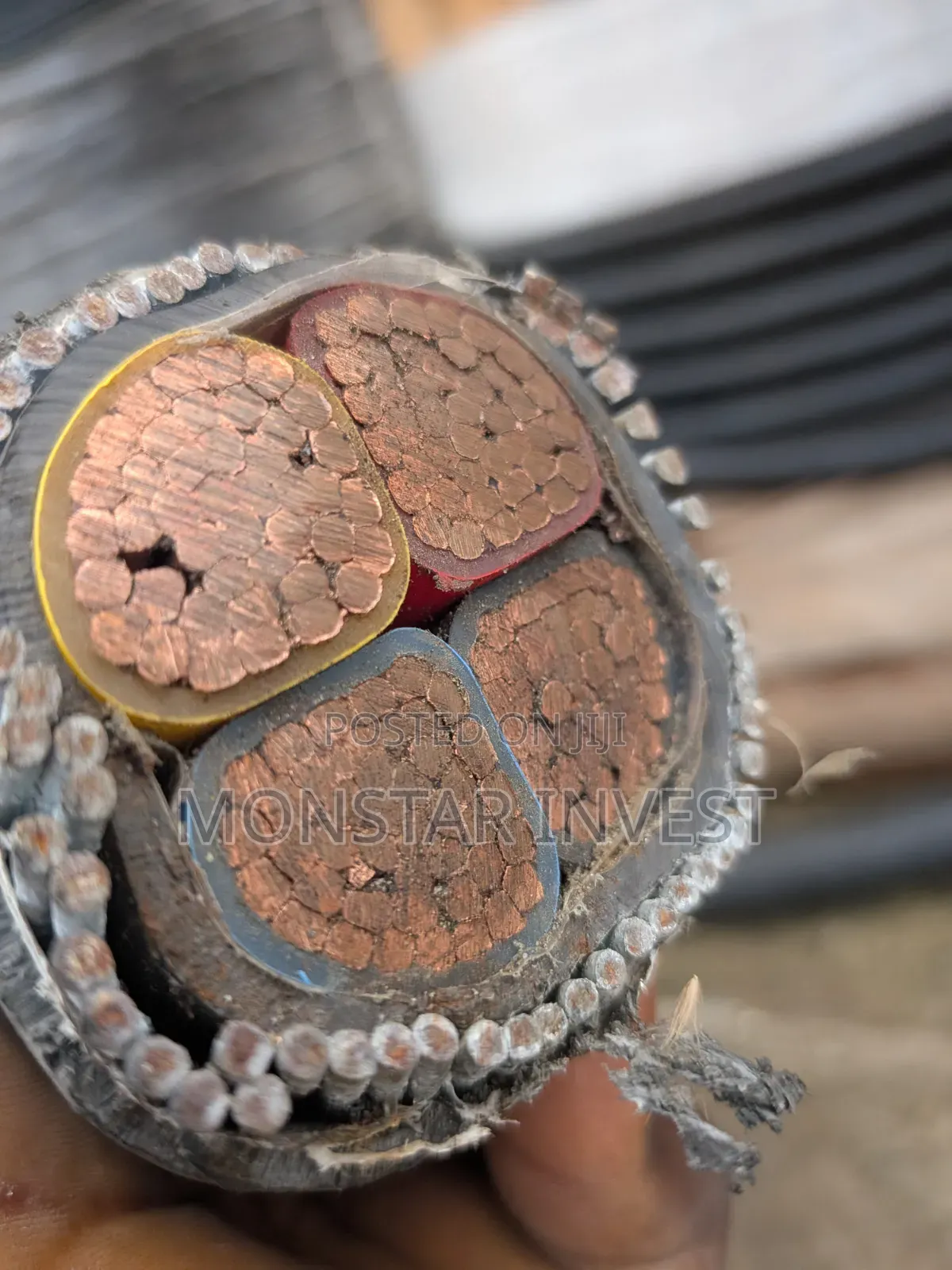 Niger Chin Armored Cable 4core