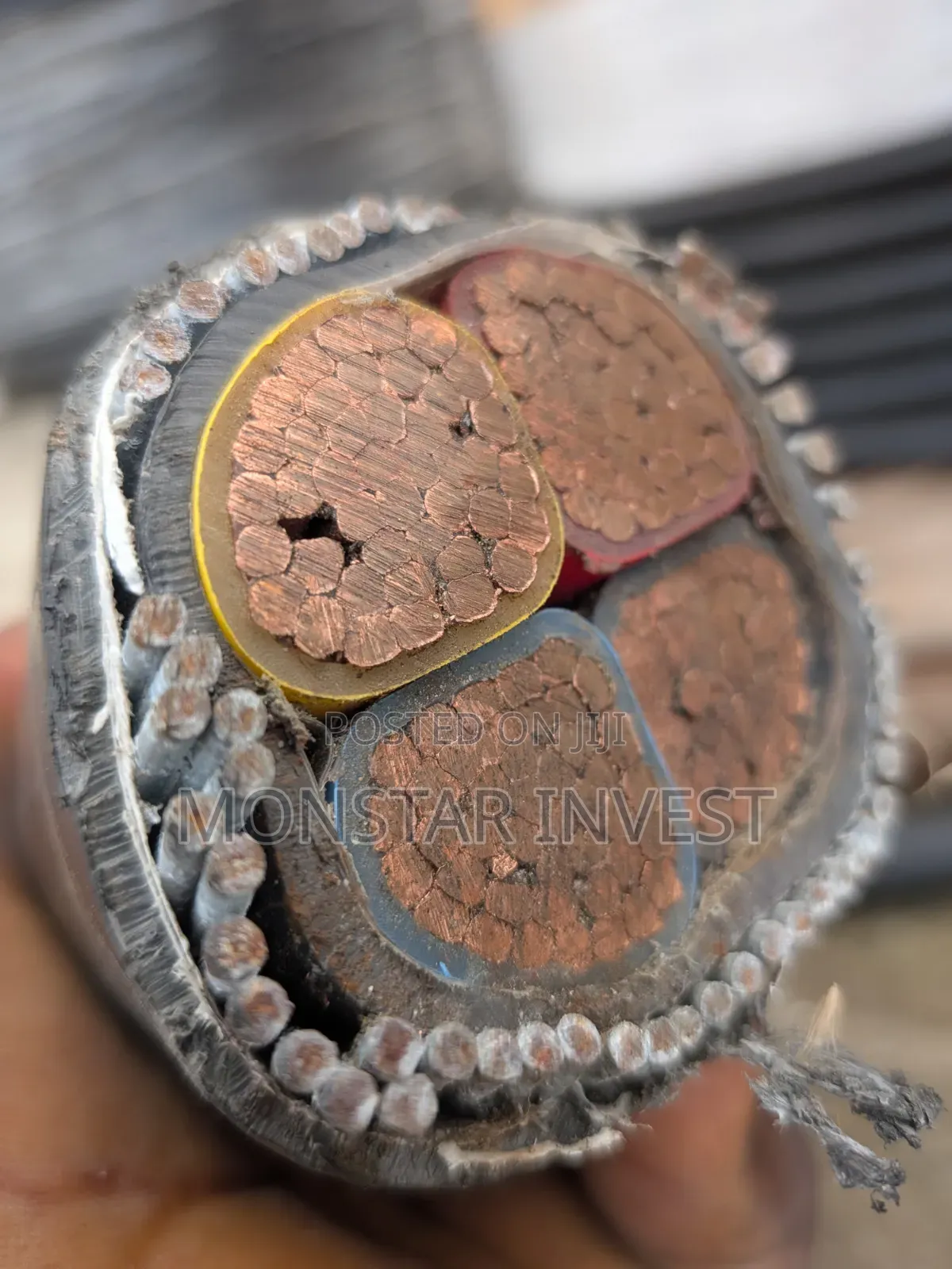 300mm 4core Armored Cable Niger Chin