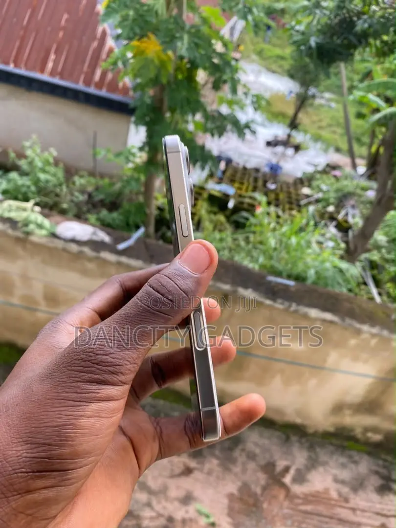 Apple iPhone 16 Pro Max 256 GB Silver