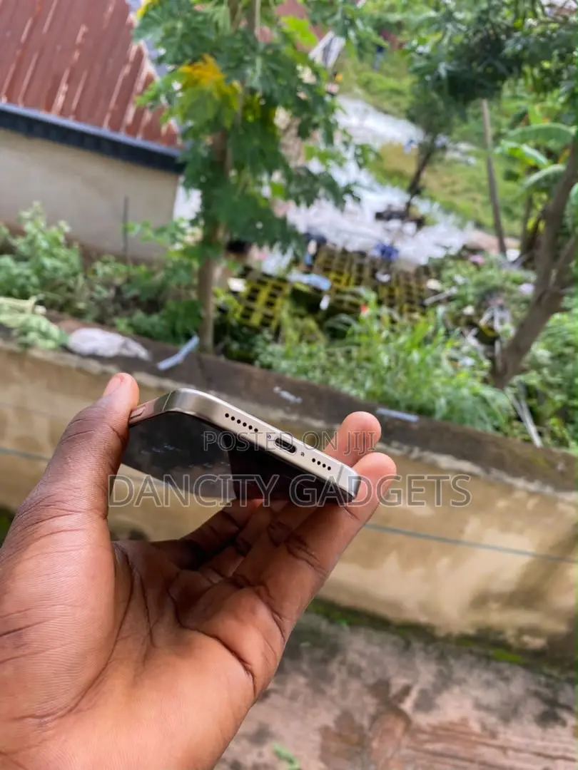 Apple iPhone 16 Pro Max 256 GB Silver